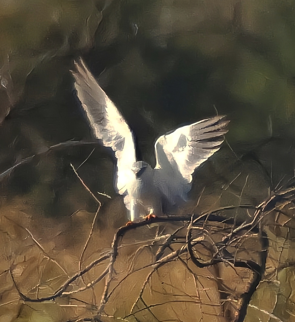 Τα πουλιά της Ελλάδας